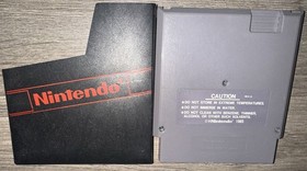 Dragon's Lair: The Legend Nintendo Entertainment System 1990 NES