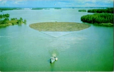 Vintage Postcard Dryden Ontario Canada Waterways Robins Stores