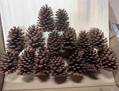 Pine Cones quantity of 15 Perfect For Fall, Christmas, Holiday Decorating