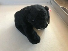 TY: Cinders the Black Bear. With tag.