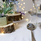 Fairy String Lights 2m Warm White Battery Powered LED Firefly Indoor Lights