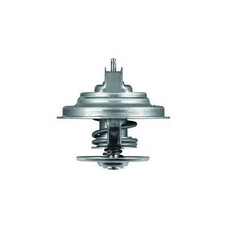 Thermostat Mercedes 230