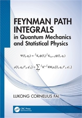 Feynman Path Integrals in Quantum Mechanics and Statistical Physics (Paperback o