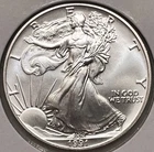 1991 - 1 oz American Silver Eagle Coin - One Troy oz .999 MS Bullion