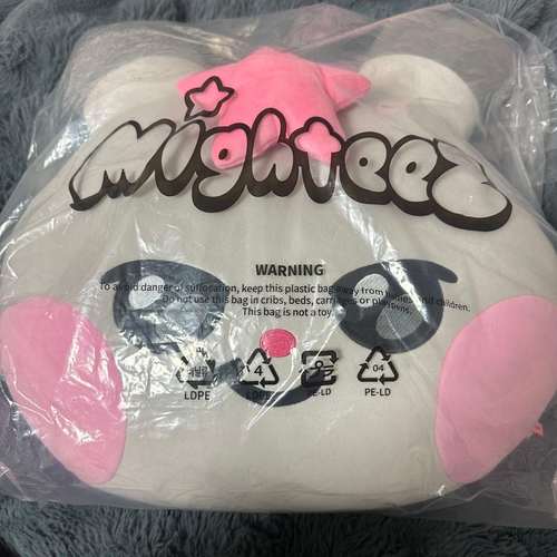 ATEEZ Line Friends Mightez ddeongyo seonghwa Peluche coussin visage ...