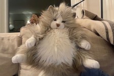 Folkmanis Fluffy Cat Hand Puppet w Movable Mouth Gray/White 10" not very used