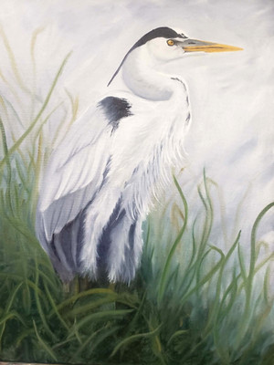 Original Oil Painting ''Great Blue Heron in the Grass'' By Artist Susan Delgado