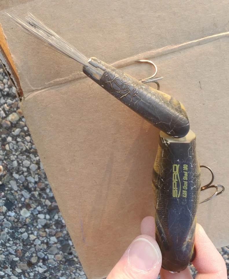 SPRO KGB Chad Shad 180 Glide Bait - Image 3 of 4