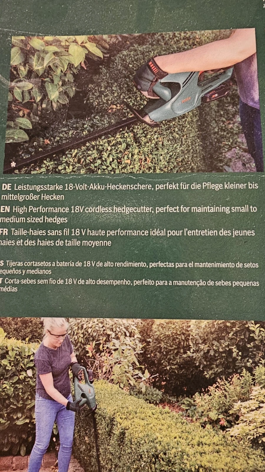 Bild 5 von 7