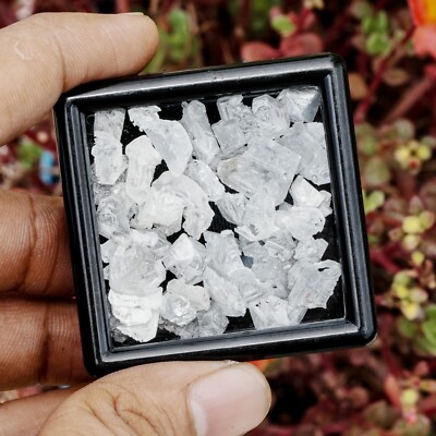 10 Carat Natural Loose Rough Raw Flat Slice White Diamond