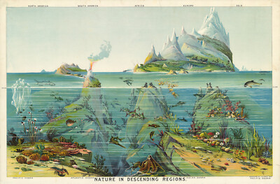 NATURE IN DESCENDING REGIONS PICTORIAL ART POSTER