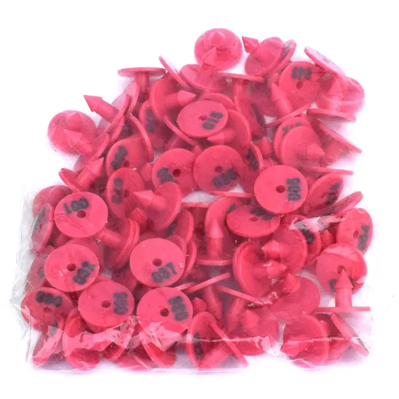 100 Pcs Rabbit Ear Tag Signs with Words Ear Laser Typing Plastic Head ...