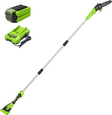 Greenworks 40V 8-Inch Cordless Polesaw, 2.0Ah Battery and Charger Included PS40B
