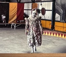 1966 Circus Hall Of Fame Clown Tiger Photos Slides Sarasota Florida Vintage Lot