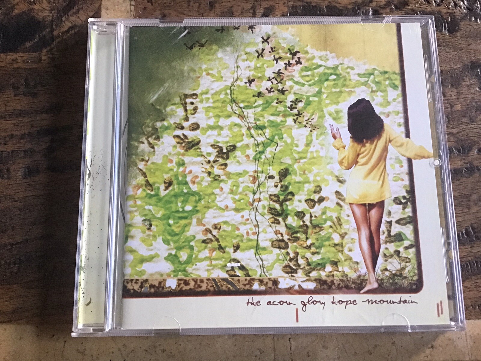 The Acorn Glory Hope Mountain (2008) CD Like New