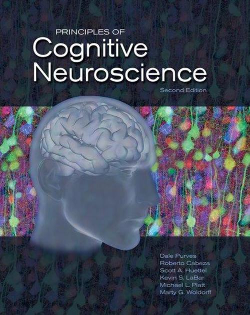 Thumbnail - Principles Of Cognitive Neuroscience, Dale Purves