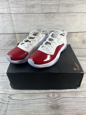 jordan 11 9.5 mens