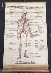 American Red Cross Charts