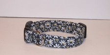 Wet Nose Designs Daisy Daisy Dog Collar Daisies on Black Floral Flowers 2