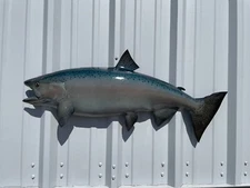 38" King Salmon Half Mount Fish Replica - Quick Production