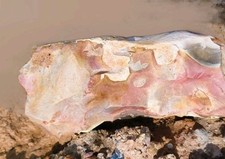 Red/Pink Chert/Flint Stone. Perfect For Flint Knapping. 