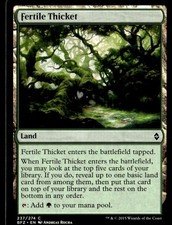 2015 Battle for Zendikar Fertile Thicket Expansion/Common #237
