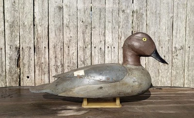 CA 1950er GOLDENEYE ENTE KÖDER ROOSEVELT PENNY UMHANG ZOBEL ISL. NOVA SCOTIA O.P. - Bild 1 von 4