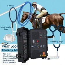 PEMT PEMF PMST LOOP Machine Muscle Joint Soreness Relief Sports Recovery Device