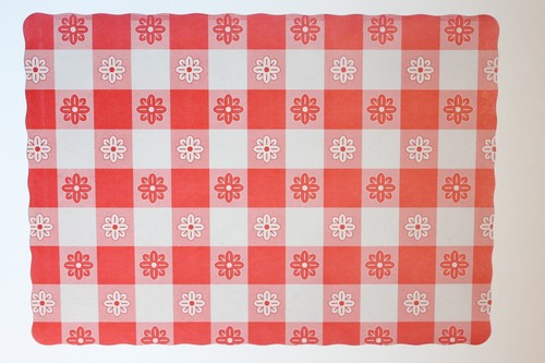 CASE OF 1,000 RED GINGHAM PAPER PLACEMATS FREE SHIPPING