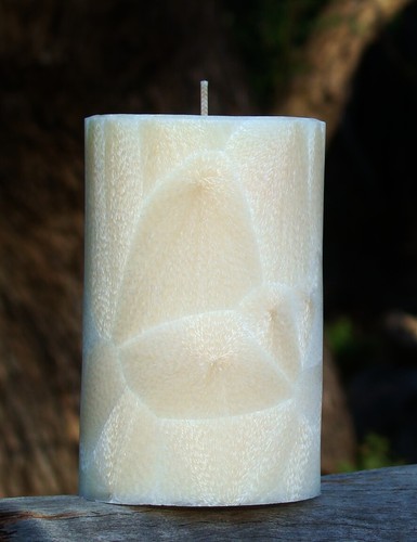 80hr AUSTRALIAN WATTLE Delicate Scented Natural Oval CANDLE Aussie Bush Aromas - Picture 12 of 12