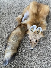 XL Wild Red Fox Pelt Fur Hide Tanned Top Quality Log Cabin Decor Man Cave Art