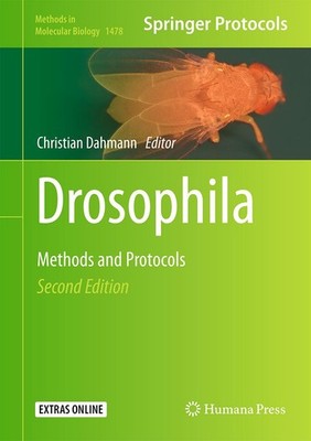 Drosophila Christian Dahmann