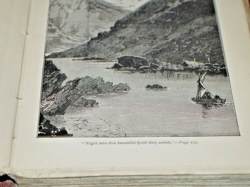 H. Rider Haggard Mr Meeson's Will (Illustrated Edition 1888) - Foto 7 di 7