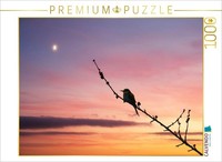 Calvendo Puzzle Bienenfresser Im Sonnenuntergang | 1000 Teile Lege-GrößE 64X48Cm