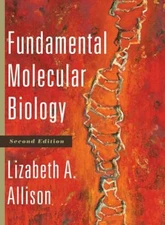 Fundamental Molecular Biology by Allison, Lizabeth A.