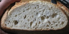 OUR SAN FRANCISCO SOURDOUGH STARTER yeast flour mix sally TOP SELLER