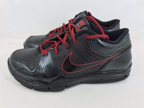 2011 Nike ID Air Max Trainer 1 Flywire 