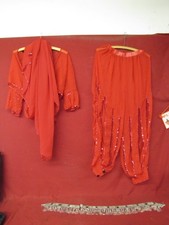 Unique Belly Dancing Outfit 3