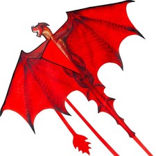 JOYIN Dragon Kites for Kids and Adults, Easy to Fly Large Single Line Kite for K