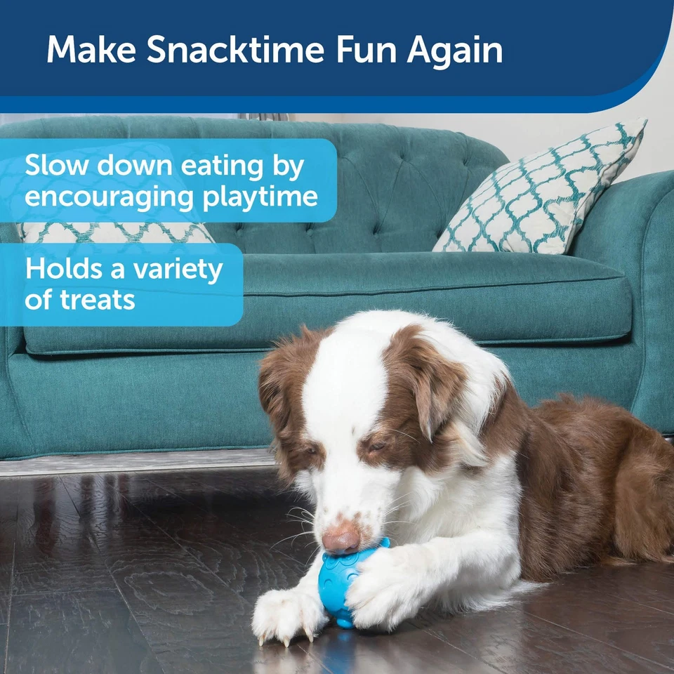 PetSafe Busy Buddy Hippster 狗咀嚼玩具零食分装机 小号 中号/大号 — 第 2/4 张图片