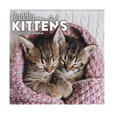 Trends International Cuddly Kittens 2026 12 x 12 Wall Calendar w
