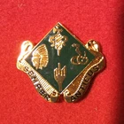 U.S.ARMY WW2 DI CREST 45th Infantry Division - Military Police Platoon