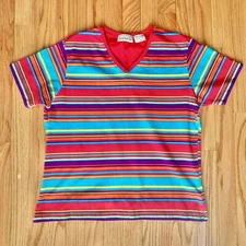 Vibrant colorful horizontal striped v neck tee shirt large Basic Editions thick 
