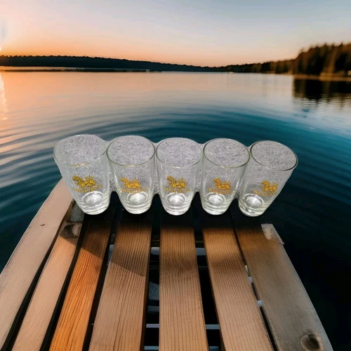 Vintage SINGHA Beer Glasses Tumblers w/Lion Logo Union Glassware 12 oz Set of 5