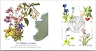 Ireland FDC 1978 The Wildflowers / Fleetwood - Baile Atha Cliath - J26327