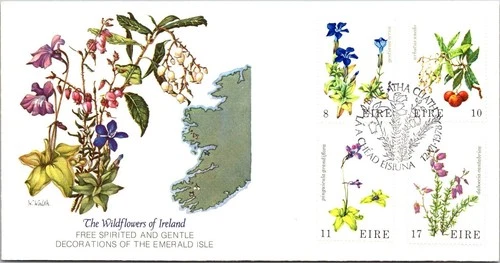 Ireland FDC 1978 The Wildflowers / Fleetwood - Baile Atha Cliath - J26327