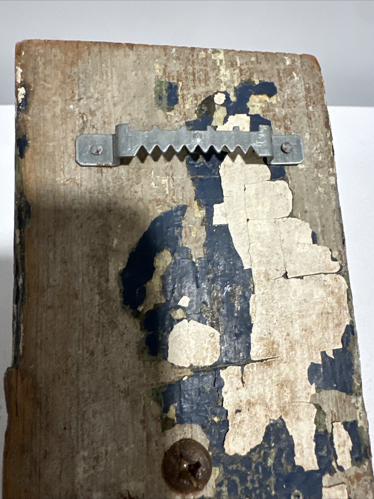 Picture 6 of 6