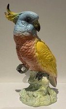 Oiseau porcelaine Perroquet