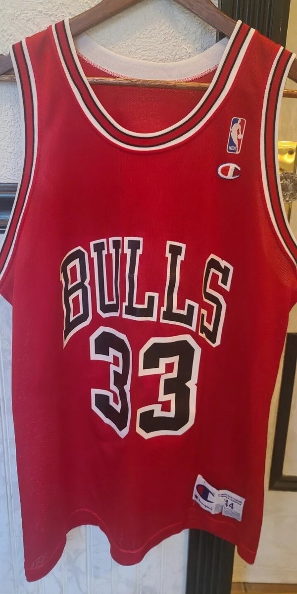 BULLS 33 ユニフォーム Champion サイズ44 s-l400.jpg