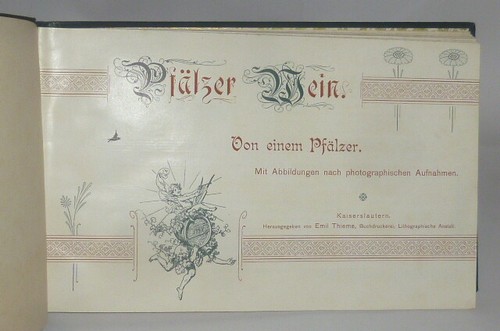 Ak Postcards Motifs Album Die Wines Der Rheinpfalz Book Weinführer Winzer Pfalz - Picture 2 of 12